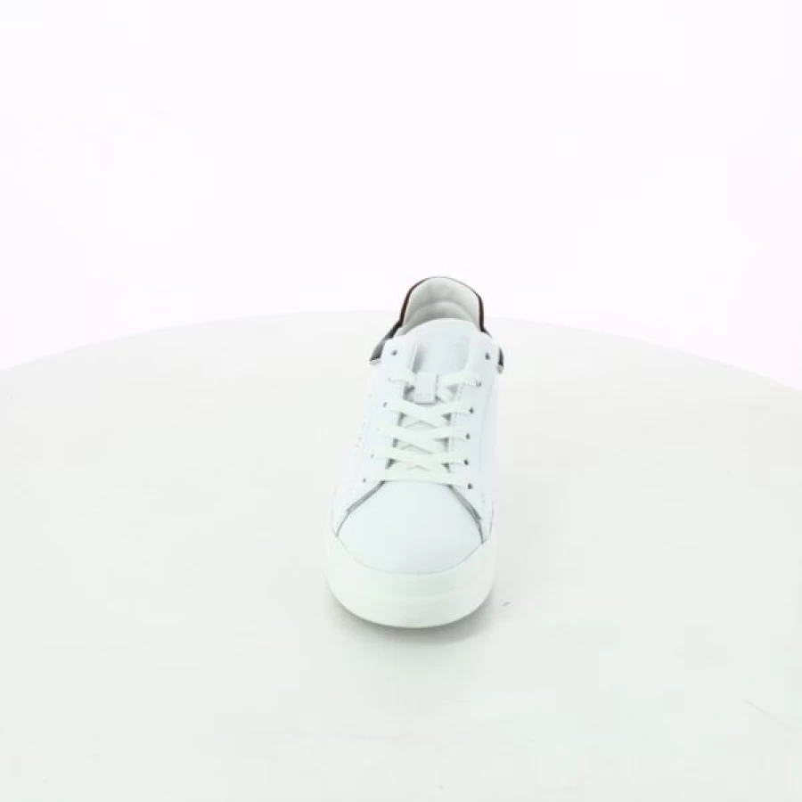 Kevin White Sneakers - Classic Casual Shoes for Men & Women