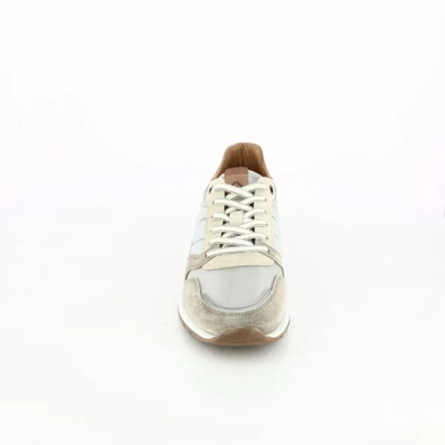 Kevin Ambitious Taupe Sneakers - Lightweight Comfortable Casual Shoes for Men & Women